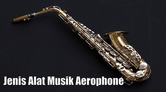 Jenis Alat Musik Aerophone